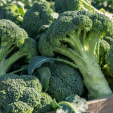 秋の家庭菜園で免疫力を高める食材ベスト3｜健康と収穫を楽しもう